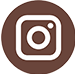 icon instagram